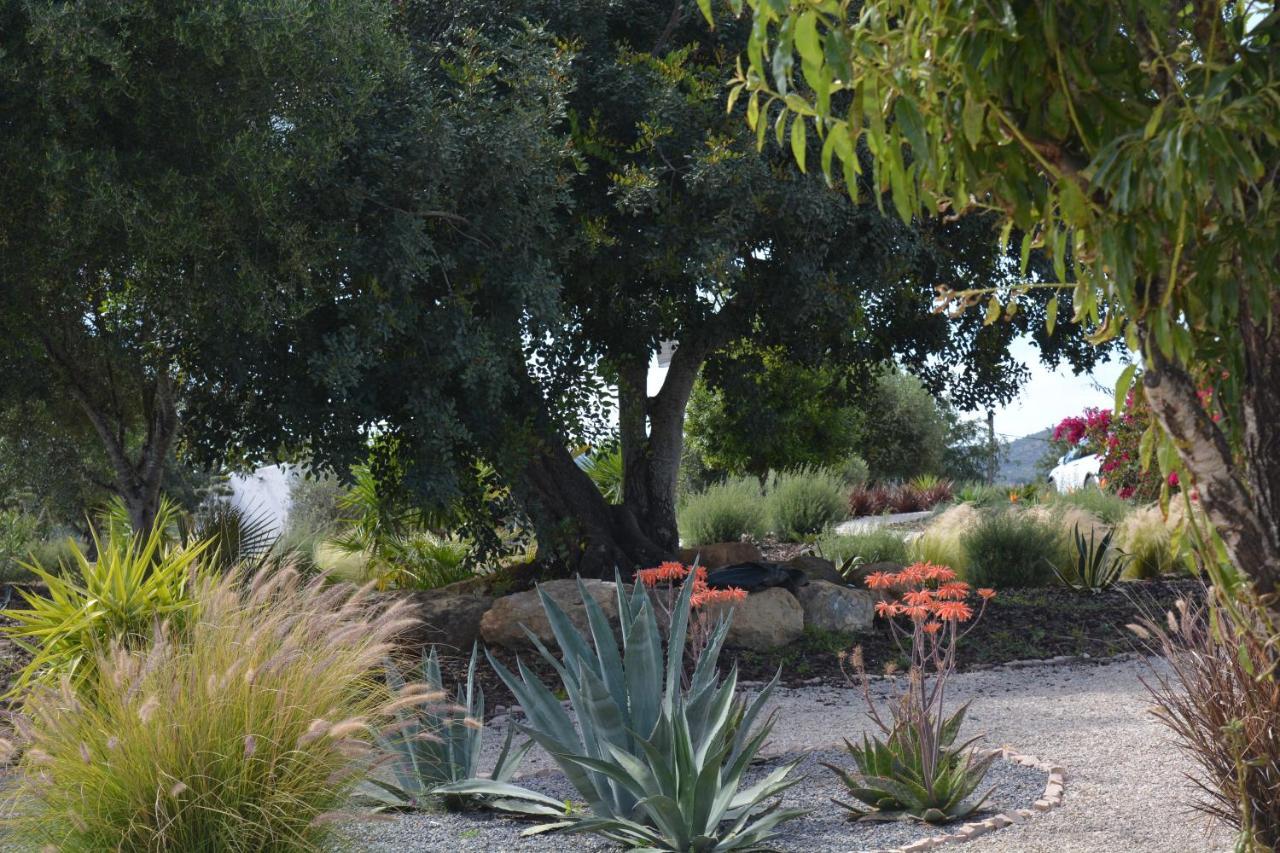 Quinta Luz Do Sol Bed & Breakfast Moncarapacho Exterior photo